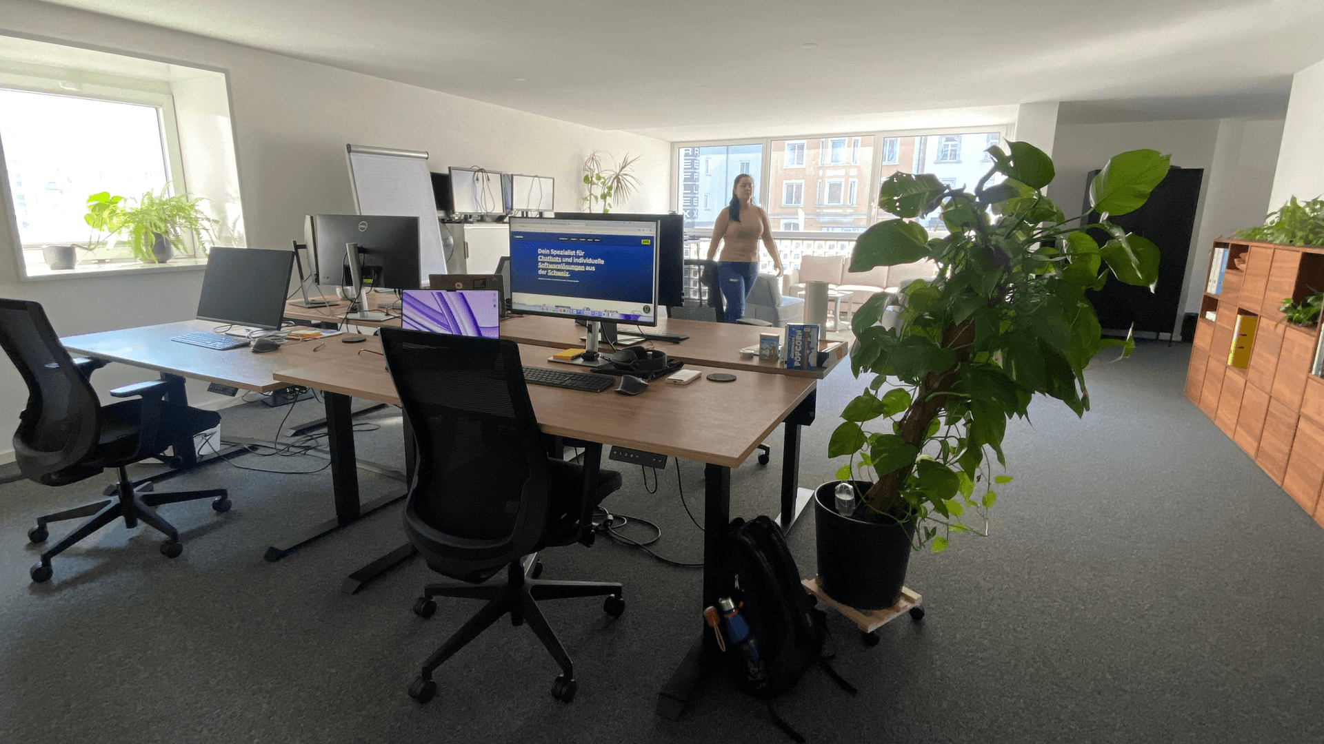 Unser tolles neues Büro mitten in Luzern - sogar mit Pflanzen!
