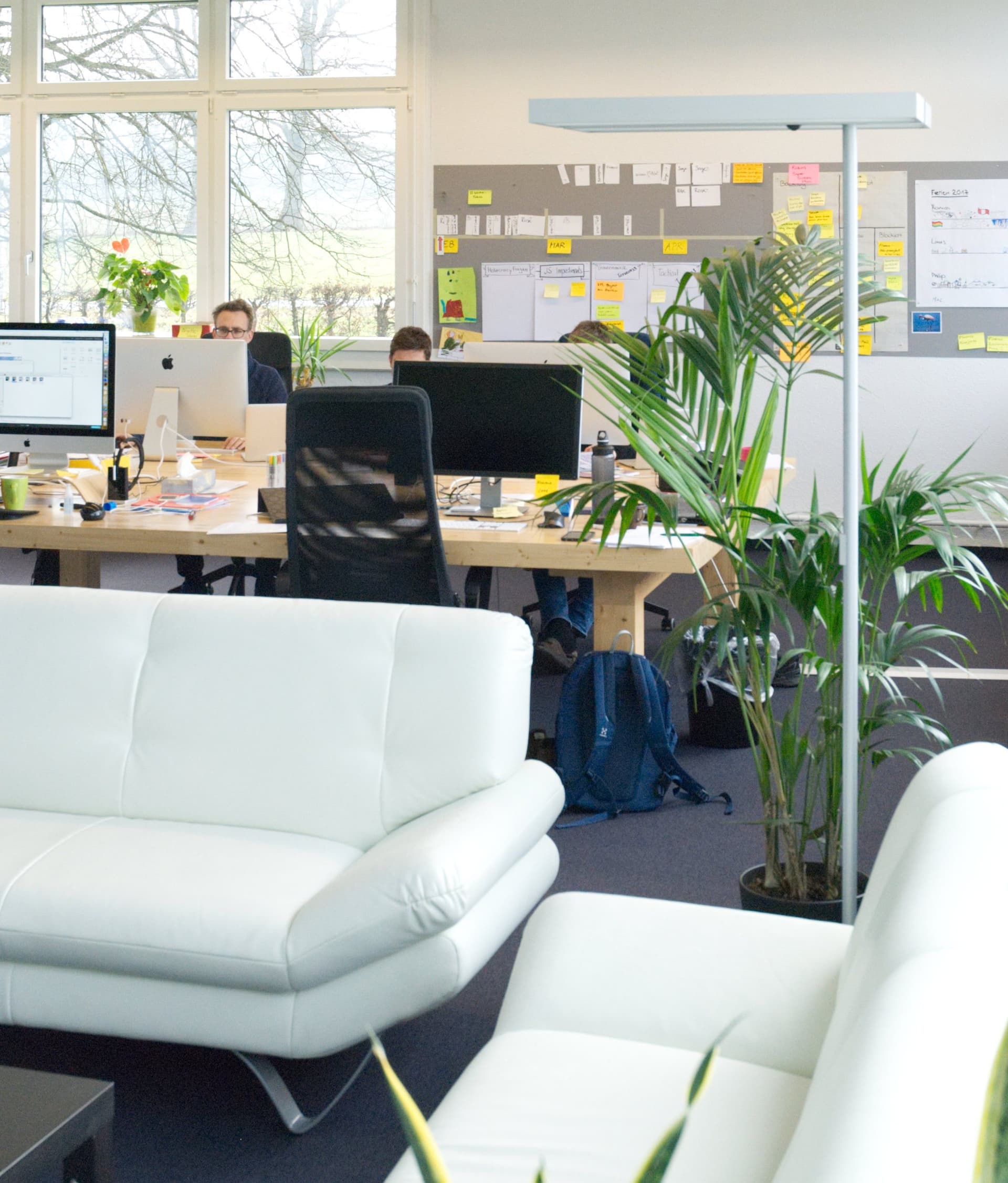 Blick durchs Büro